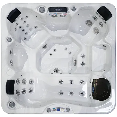 Avalon EC-849L hot tubs for sale in West PalmBeach